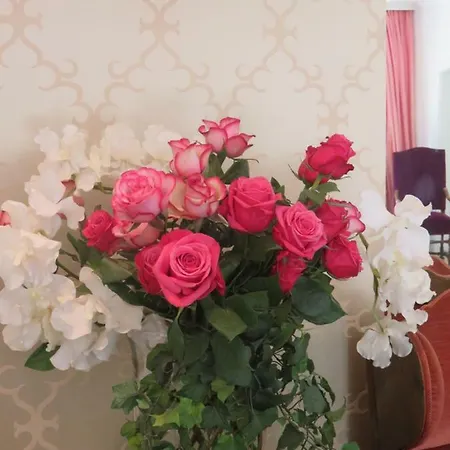 Boutiquevilla Sissi فندق