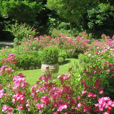 Boutiquevilla Sissi Salzburgo