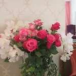 Boutiquevilla Sissi מלון