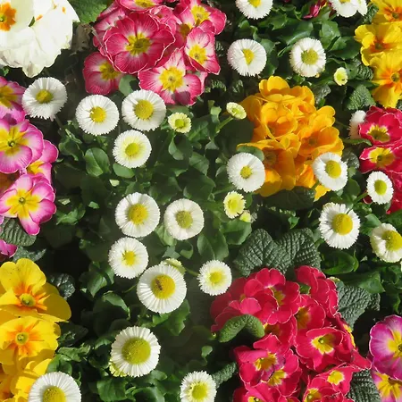 Hotell Boutiquevilla Sissi