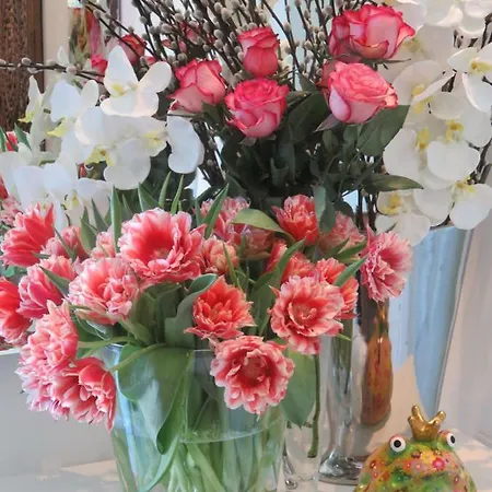 Boutiquevilla Sissi Hotell