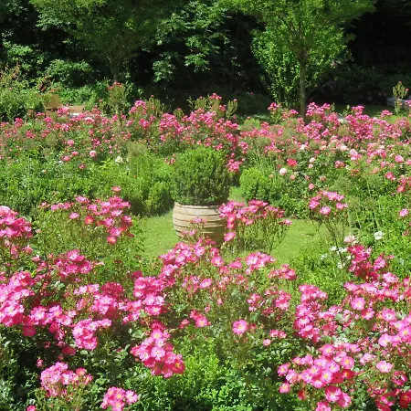 Boutiquevilla Sissi Salzburg